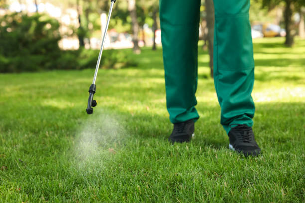 Best Pest Control for Homes  in Kaumakani, HI